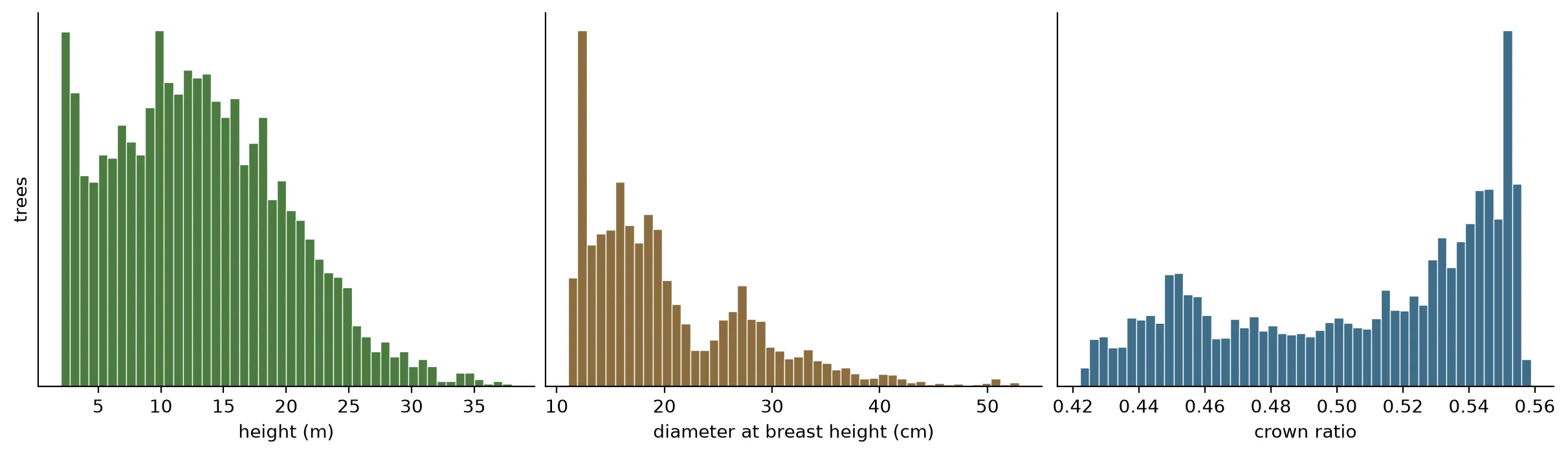 Three histograms side by side across all 5,704 trees: canopy height in metres with a long tail out to 37 m, diameter at breast height in centimetres with a hard floor near 11 cm, and crown ratio spanning only 0.42 to 0.56.