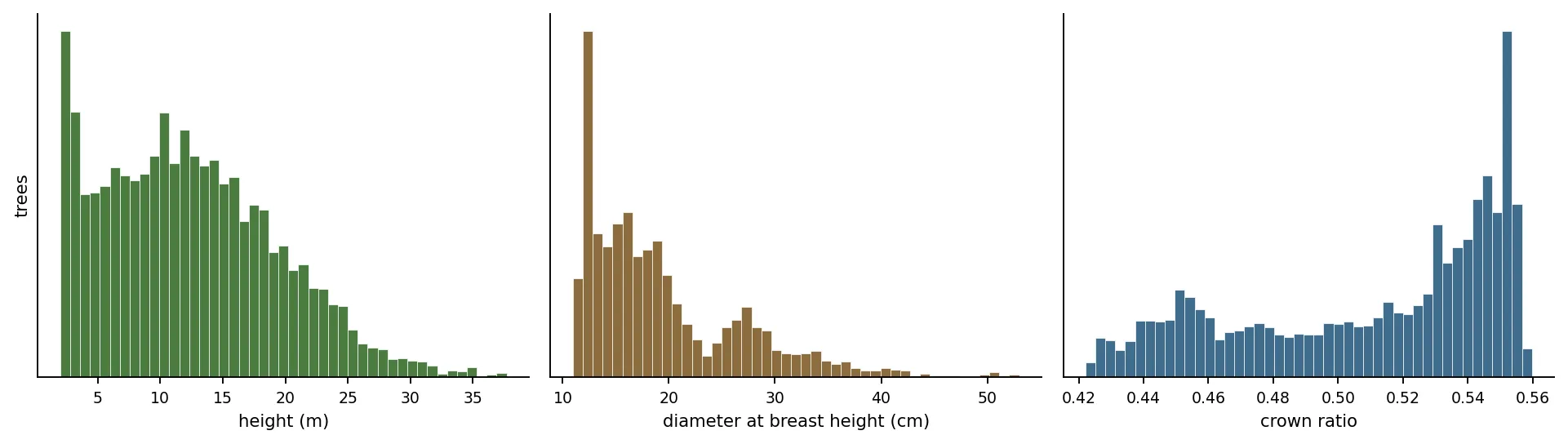 Three histograms side by side across all 7,317 trees: canopy height in metres with a long tail out to 37 m, diameter at breast height in centimetres with a hard floor near 11 cm, and crown ratio spanning only 0.42 to 0.56.