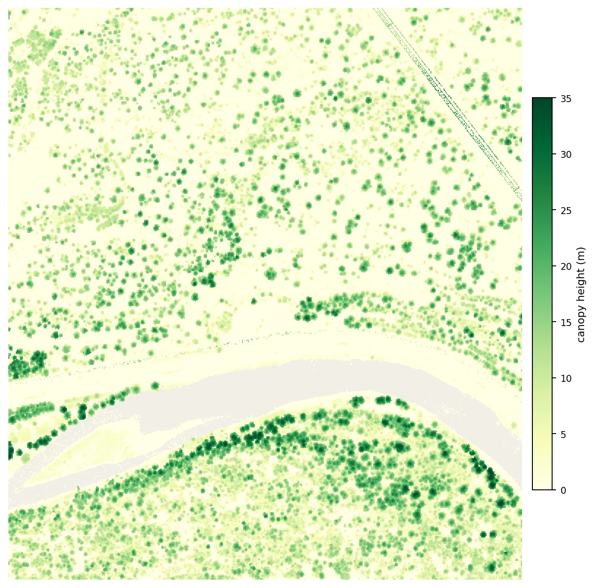 The canopy height model of the Blackfoot River domain, rendered green on cream. Individual tree crowns appear as distinct round dots, densest in a band along both banks. A pale grey ribbon winds across the lower half where the river returns no data.