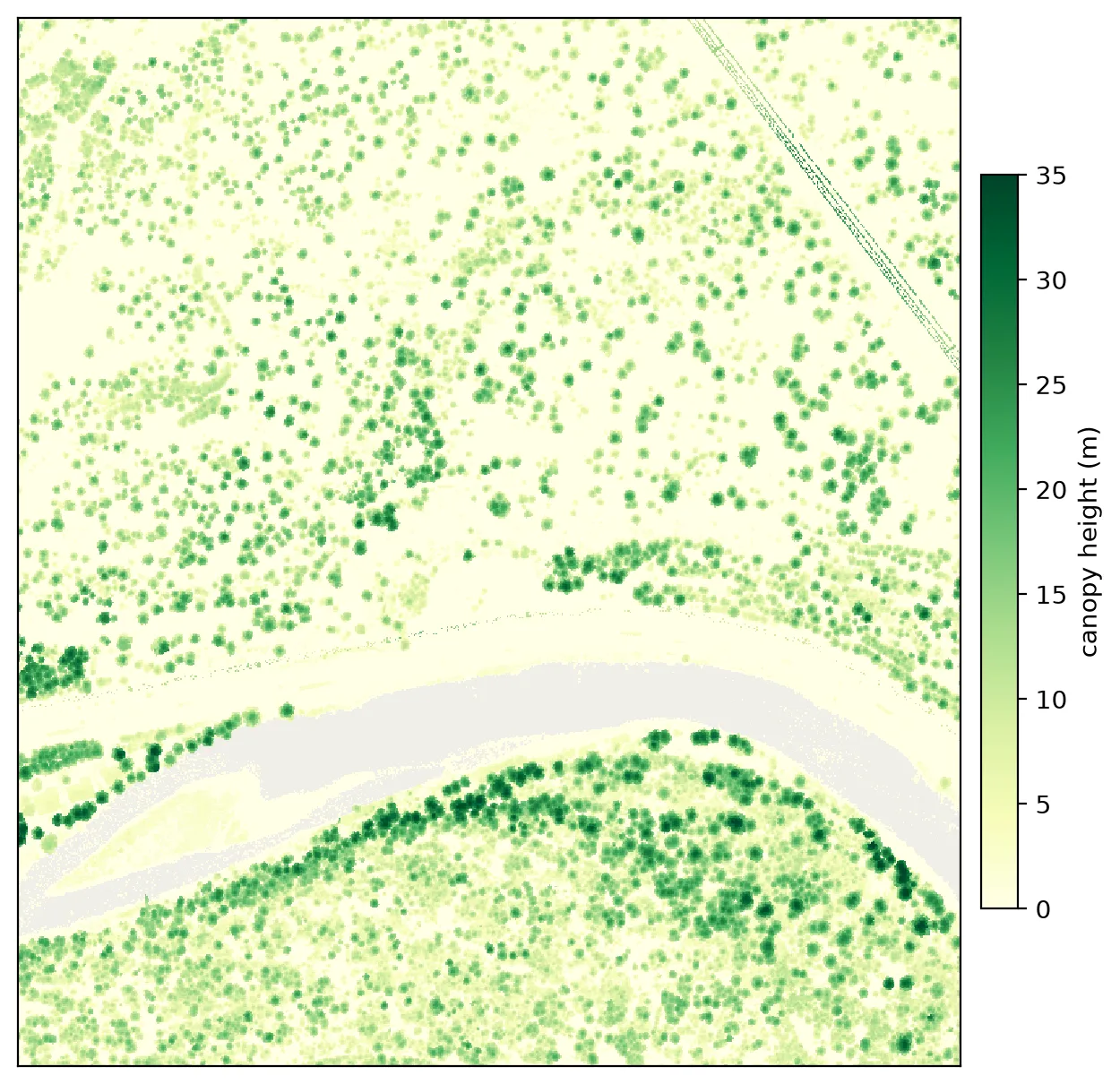 The canopy height model of the Blackfoot River domain, rendered green on cream. Individual tree crowns appear as distinct round dots, densest in a band along both banks. A pale grey ribbon winds across the lower half where the river returns no data.