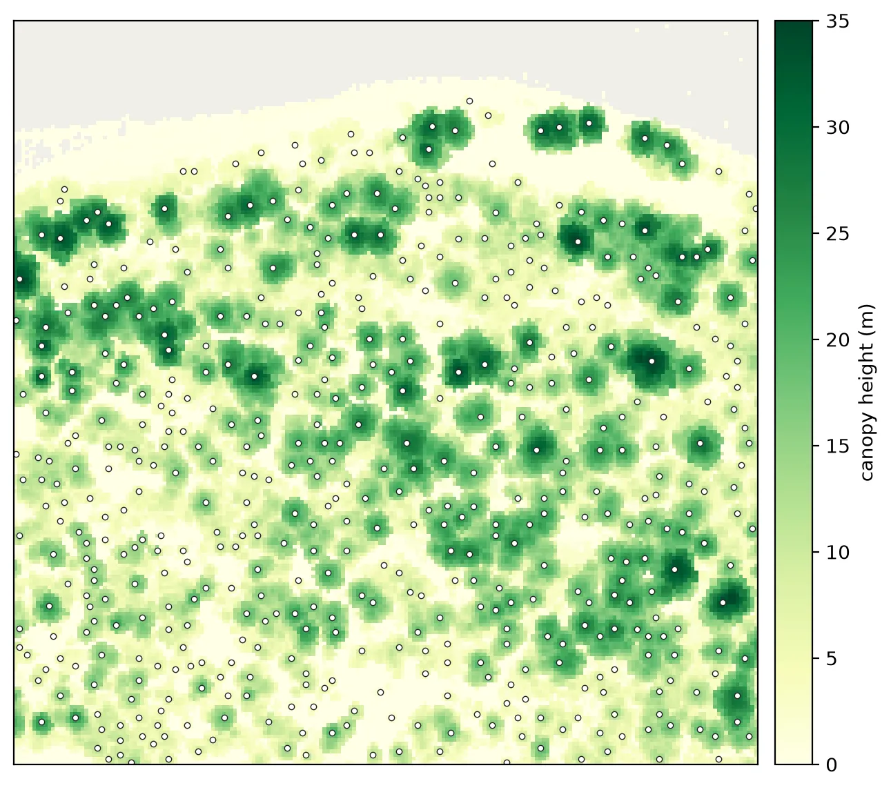 A 200 metre square of the canopy height model at high magnification, with a small white circle drawn on the peak of each detected crown. The circles sit one per crown across dense forest, thinning out toward the bare river edge along the top.