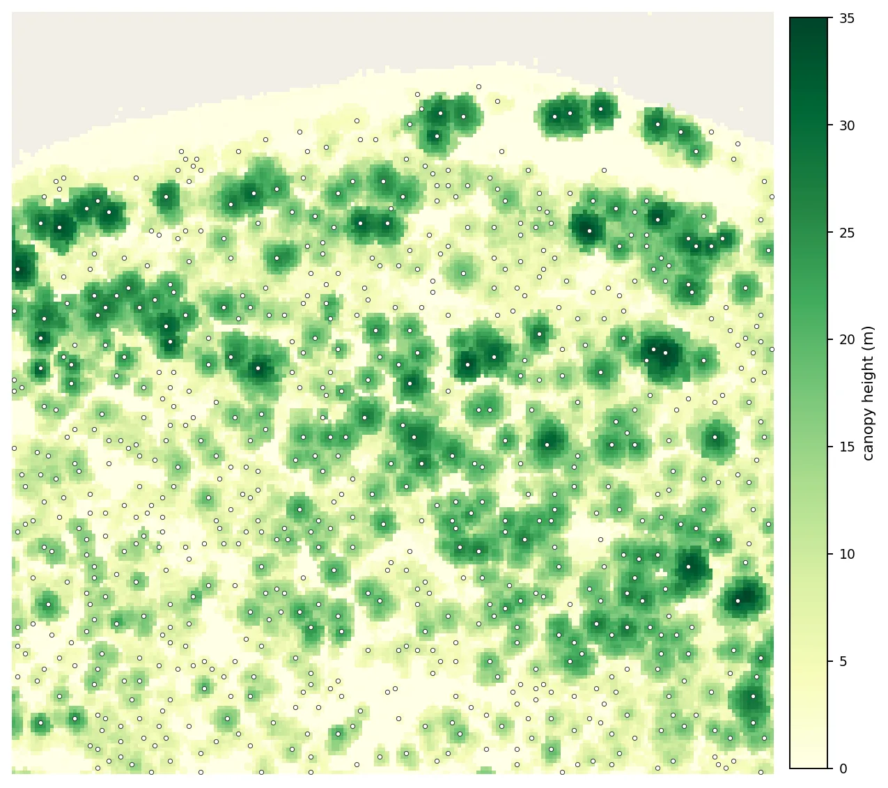 A 200 metre square of the canopy height model at high magnification, with a small white circle drawn on the peak of each detected crown. The circles sit one per crown across dense forest, thinning out toward the bare river edge along the top.