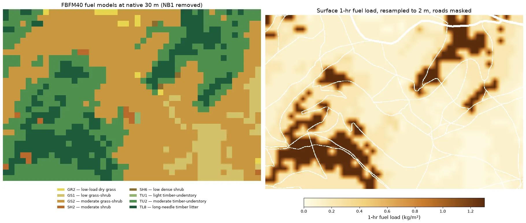Two maps of the domain side by side. Left: the FBFM40 fuel-model map in blocky 30-meter pixels, mostly tan grass-shrub classes with dark green timber-litter patches. Right: the interpolated 1-hour fuel load on the 2-meter grid, pale yellow for light grass loads grading smoothly into dark brown timber-litter patches near 1.3 kilograms per square meter, with the road network cut through as thin white zero-fuel lines.