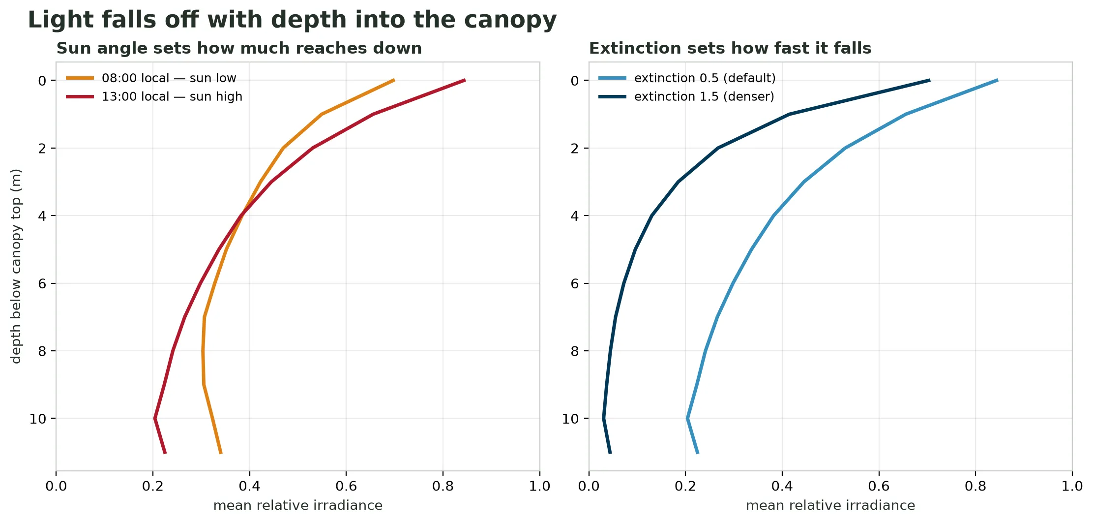 Two line charts sharing a vertical axis of depth below the canopy top in metres, increasing downward, and a horizontal axis of mean relative irradiance from zero to one. The left chart compares a morning and a midday curve; both start high at the canopy top and decay downward, with the midday curve higher through the upper canopy. The right chart compares extinction coefficient 0.5 and 1.5; the 1.5 curve decays faster and stays lower at every depth.