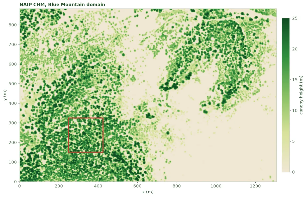 The NAIP canopy height model for the Blue Mountain domain, rendered from cream bare ground to dark green tall canopy, with a canopy-height colorbar and a red box marking a detail window.