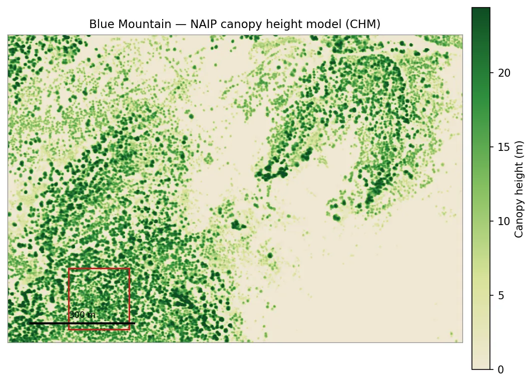The NAIP canopy height model for the Blue Mountain domain, rendered as a green-on-tan height map with a canopy-height colorbar and a red box marking a detail window.