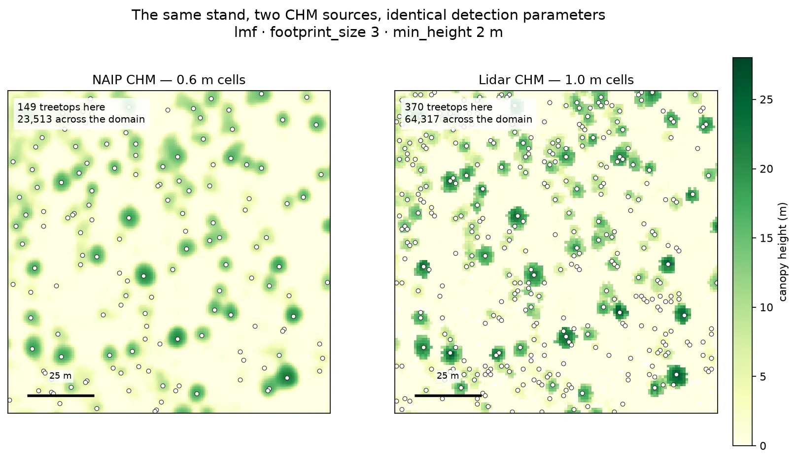 Two canopy height maps of the same 120 metre stand side by side, both green-on-cream with white treetop dots. The NAIP panel on the left shows smooth, round crown mounds with one dot each. The lidar panel on the right shows sharp, blocky, textured crowns carrying several dots each, plus many dots scattered over low vegetation.