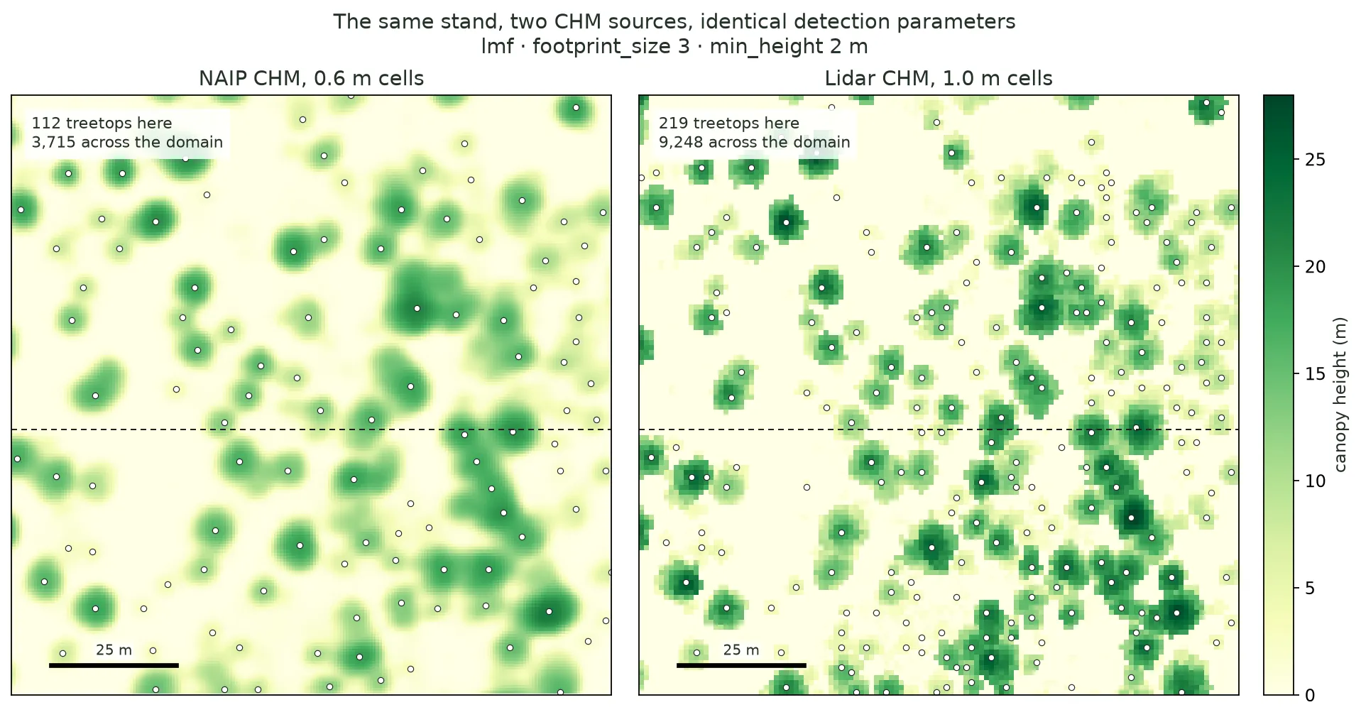 Two canopy height maps of the same 120 metre stand side by side, both green-on-cream with white treetop dots and a dashed line marking a transect. The NAIP panel on the left shows smooth, round crown mounds with one dot each, 112 in all. The lidar panel on the right shows sharp, blocky crowns, some carrying two or three dots, plus many dots scattered over low vegetation, 219 in all.