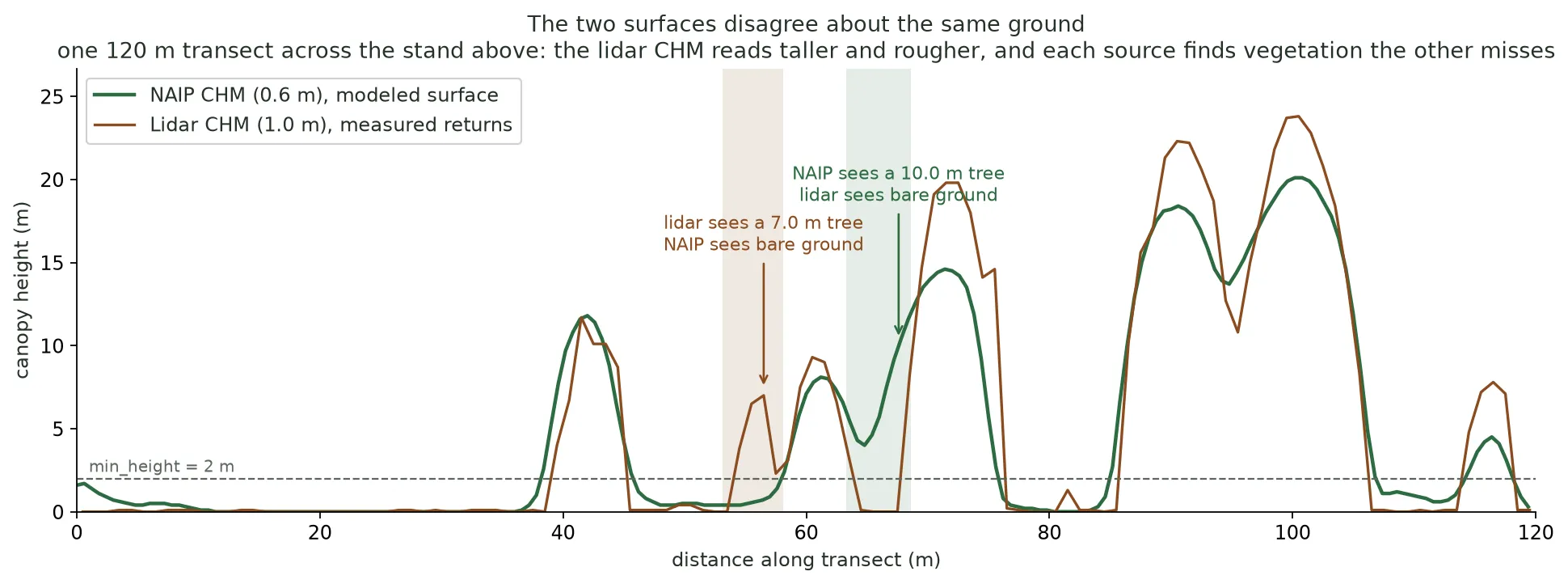 A line chart of two canopy height profiles along a 120 metre transect. The green NAIP curve is smooth and rounded; the brown lidar curve is rougher and taller on most crowns. Two shaded bands, each with an arrow and a note, mark where one source records a tree and the other records bare ground: lidar sees a 7.0 metre tree that NAIP misses, and NAIP sees a 10.0 metre tree that lidar misses.