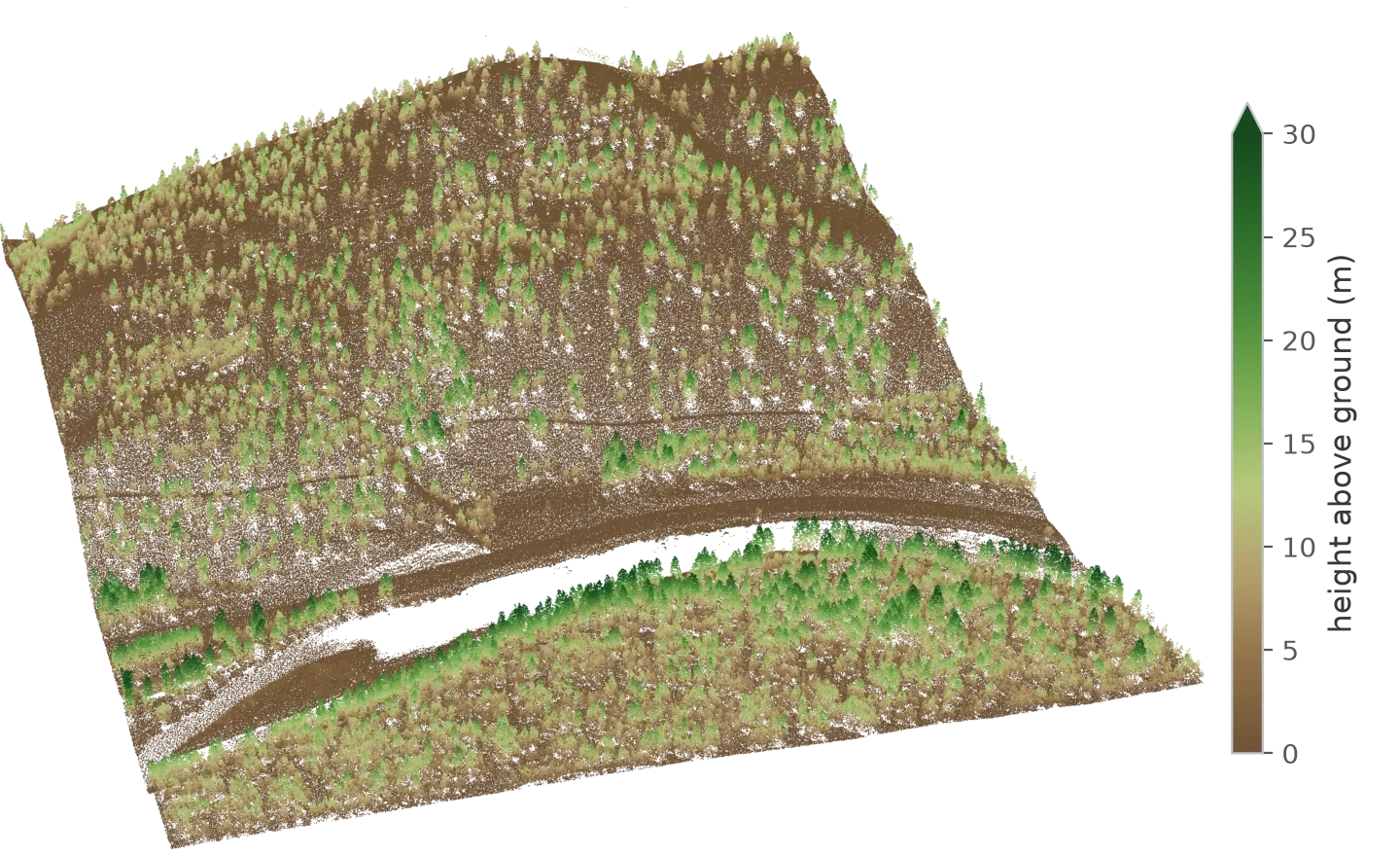 An oblique three-dimensional view, from the south, of the point cloud over the whole Blackfoot River domain. Brown returns trace the ground surface up a hillside and across the valley floor; trees rise out of it as green spires, densest along both banks of the river. The river itself is an empty channel across the lower half.