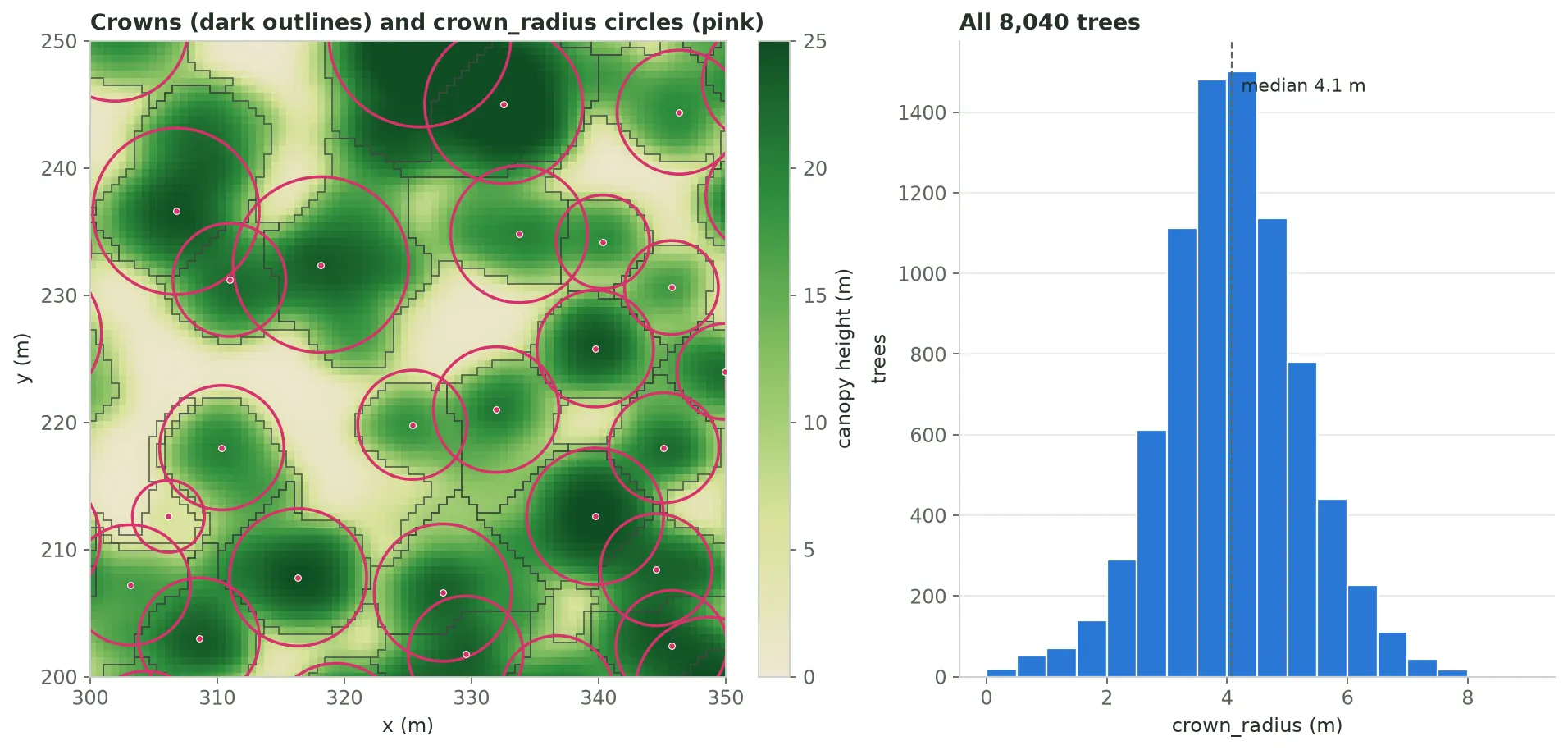 Left: a 50 metre square of the NAIP canopy height model with dark stair-stepped crown outlines, a pink dot at each treetop and a pink circle around each dot whose radius is that tree's crown_radius; each circle covers about the same area as the outline around it. Right: a histogram of crown_radius for all 8,040 trees, a single peak with a median of 4.1 metres and a range from about 0.3 to 8.7 metres.