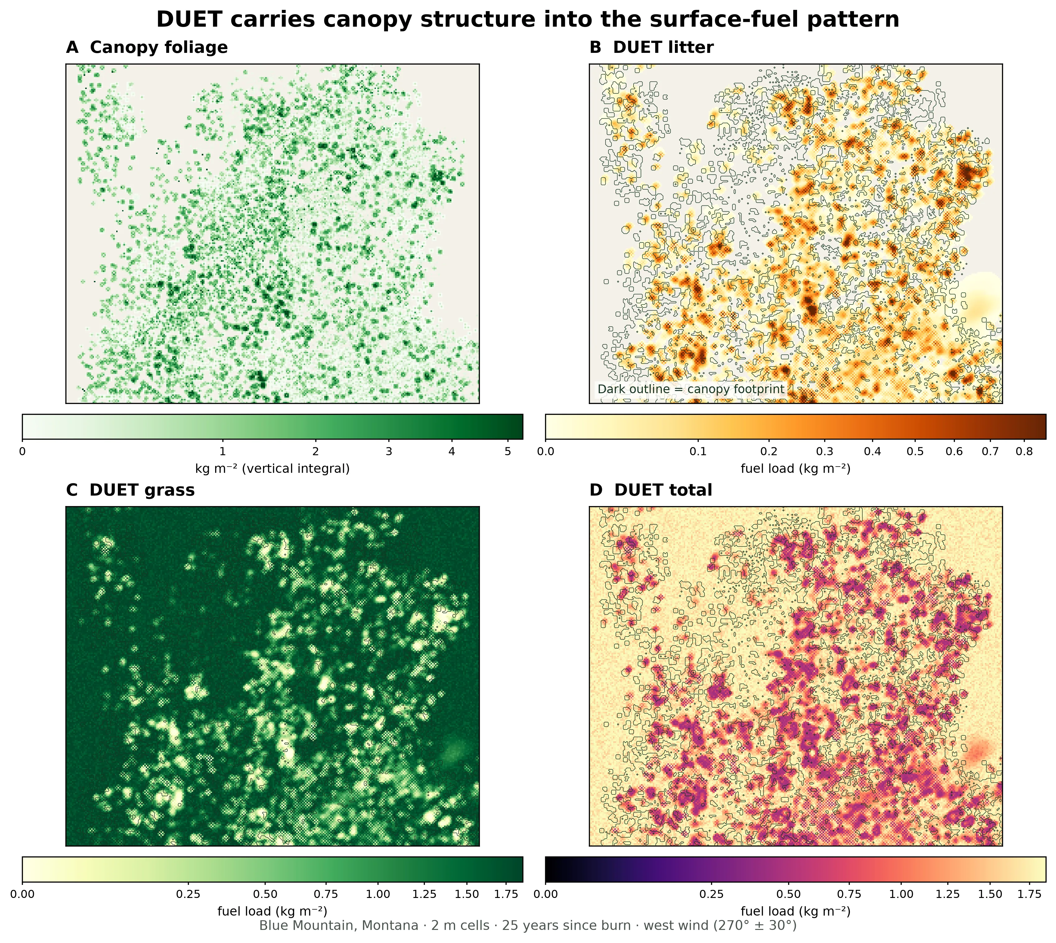 Four maps of the same Blue Mountain forest detail arranged in a two-by-two grid. Canopy foliage appears as green crown clusters. Orange DUET litter follows those clusters and their edges, grass is strongest in many canopy openings, and total surface fuel combines both patterns. The three DUET panels are labeled as uncalibrated values.