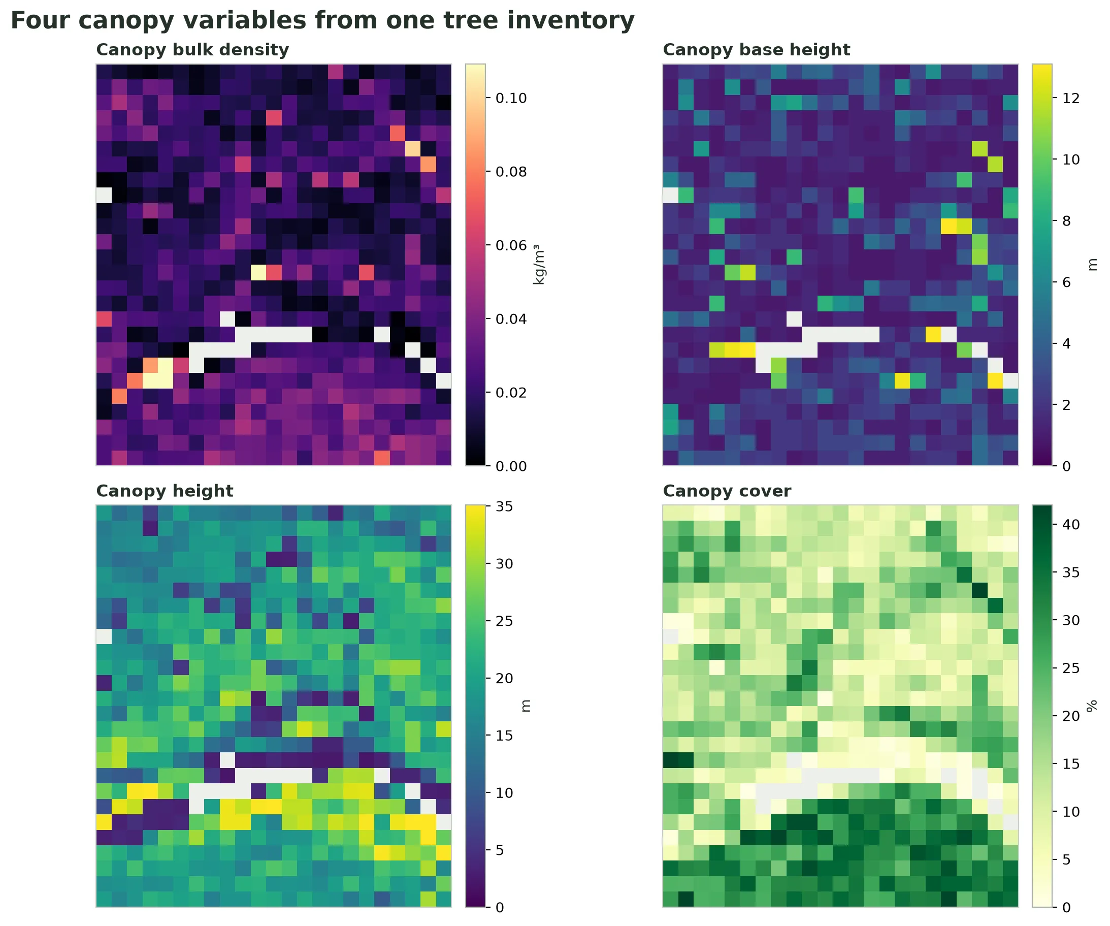 Four maps of the same inventory-derived canopy grid arranged in a two-by-two panel: canopy bulk density, canopy base height, canopy height, and canopy cover. Forested cells form the same broad spatial pattern, while each metric emphasizes a different property and uses its own labeled color scale.