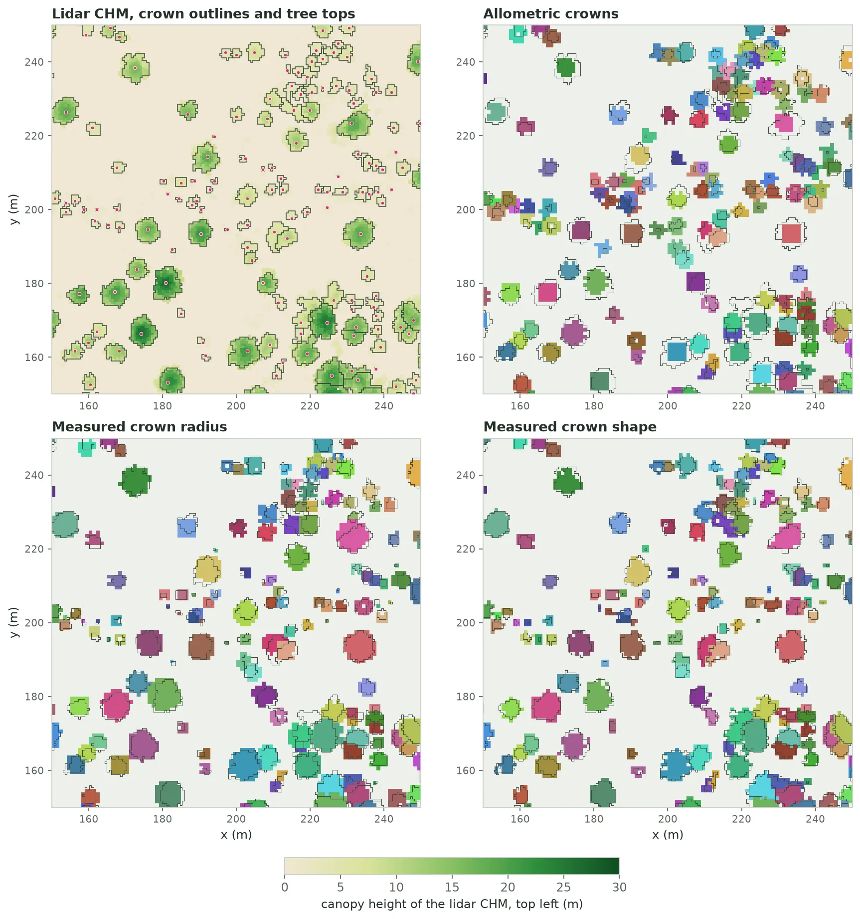 Four 100 by 100 metre map panels of the same patch of open forest. Top left: the lidar canopy height model, separate green crowns on cream ground, with dark crown outlines and a pink dot at each tree top; most of the ground is open. The other three panels colour each column by the tree that owns its top voxel, with the crown outlines drawn in thin dark lines. Allometric crowns: square-ish coloured blobs, most smaller than their outlines. Measured crown radius: round coloured discs about as big as the outlines, some spilling past them. Measured crown shape: coloured patches that follow each outline's irregular shape.