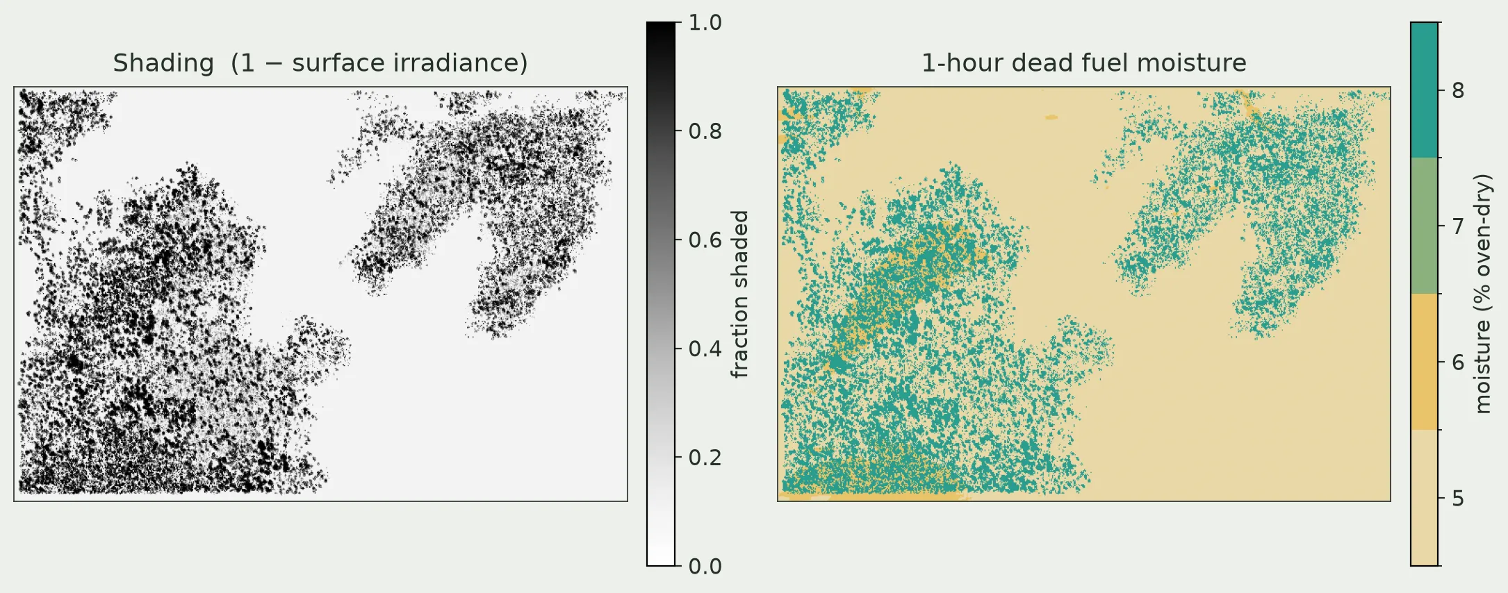 Two top-down maps of the same domain, north up. Left: a grayscale 'fraction shaded' map — mostly white (sunlit) ground with dense black speckle where tree crowns cast shadows and broad darker patches on shaded slopes. Right: the 1-hour dead fuel moisture map on a tan-to-teal scale — the sunlit ground is a uniform tan at the 5 percent base, and exactly where the left map is dark the fuel turns teal at 8 percent, three points wetter.