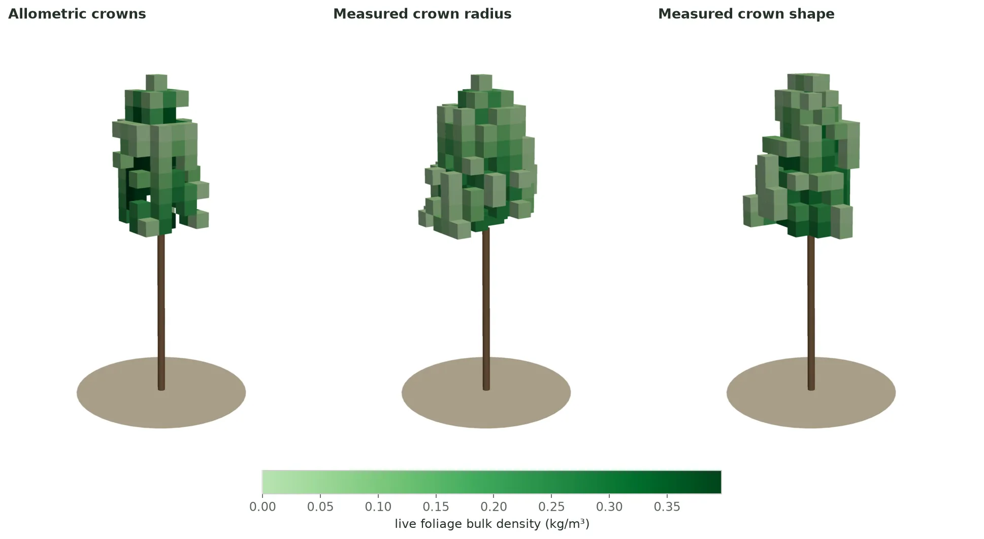 Three 3D views of the same tree from the same camera, side by side, each a brown stem on a small tan disc with a crown of voxel cubes coloured by live foliage bulk density. Allometric crowns: a narrow, ragged crown with dark green cubes inside. Measured crown radius: a wider, rounder crown of paler cubes. Measured crown shape: a crown of in-between width with an uneven outline.