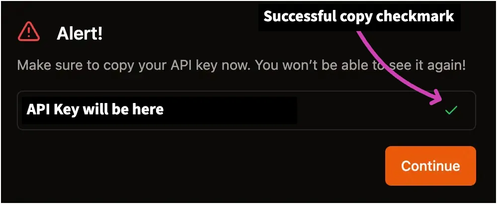 Successful api copy