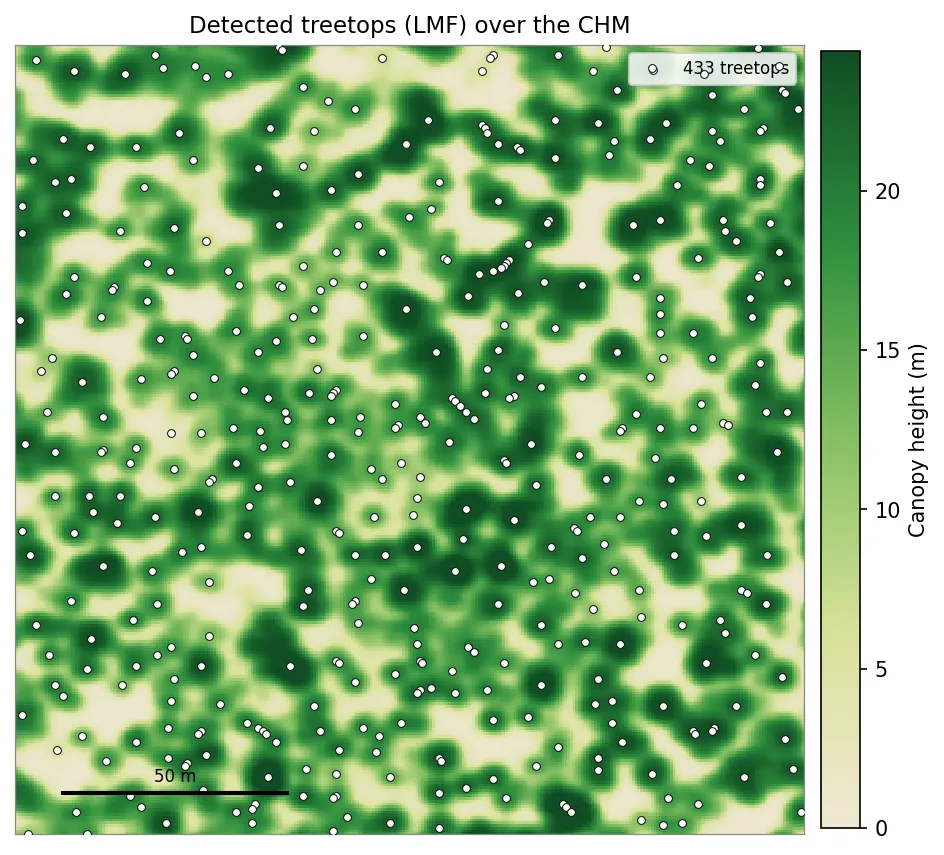 Detected treetops drawn as white dots over a close-up of the canopy height model; the canopy is nearly continuous and some connected crowns carry more than one dot.